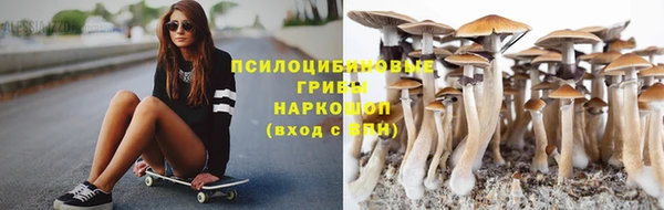шишки Алексин