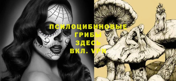 шишки Алексин