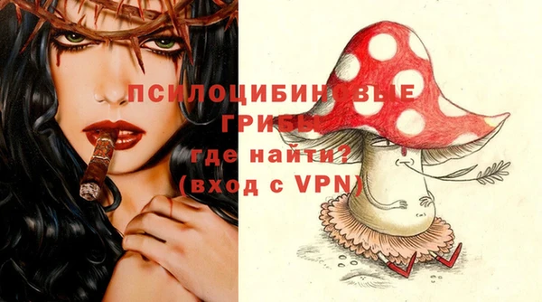 ALPHA PVP Переславль-Залесский