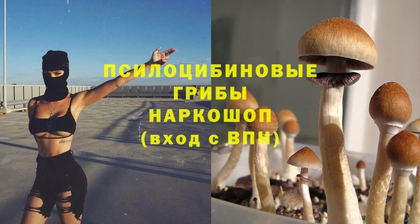 каннабис Пересвет
